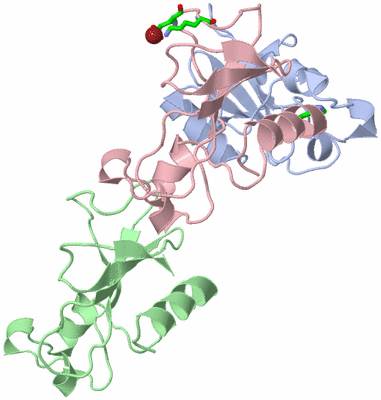 Image Asym. Unit - sites