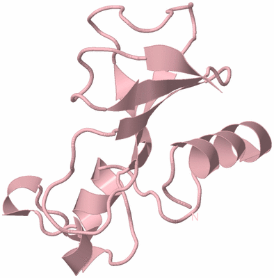 Image Biological Unit 3