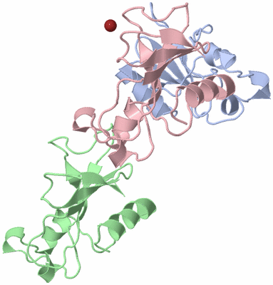 Image Asymmetric Unit