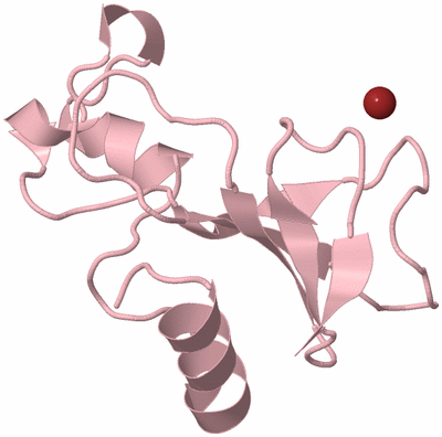 Image Biological Unit 3