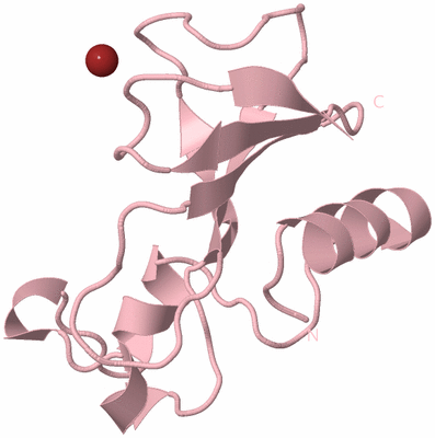Image Biological Unit 3