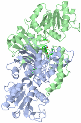 Image Biol. Unit 1 - sites