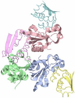 Image Asymmetric Unit