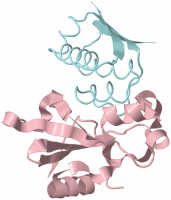 Image Biological Unit 3