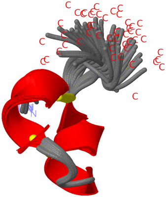 Image NMR Structure - all models