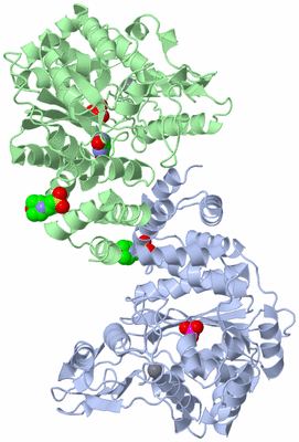 Image Asym./Biol. Unit