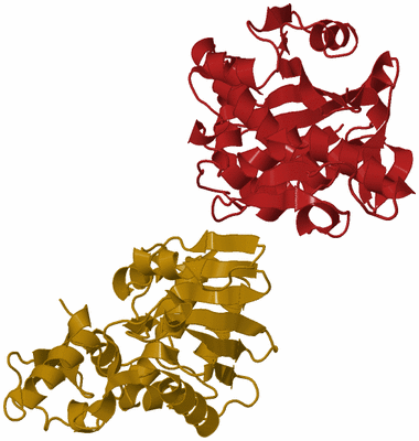 Image Asymmetric Unit