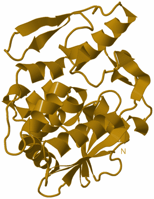 Image Biological Unit 1