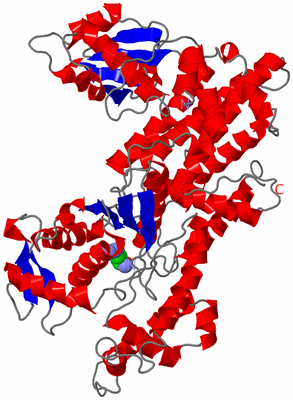 Image Asym./Biol. Unit