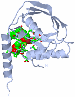 Image Biol. Unit 1 - sites