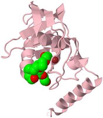 Image Biological Unit 3