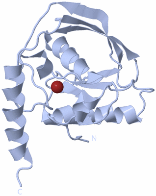 Image Biological Unit 1