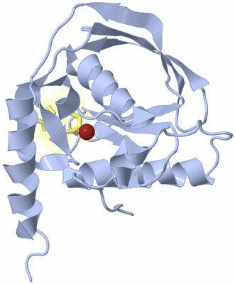 Image Biological Unit 1