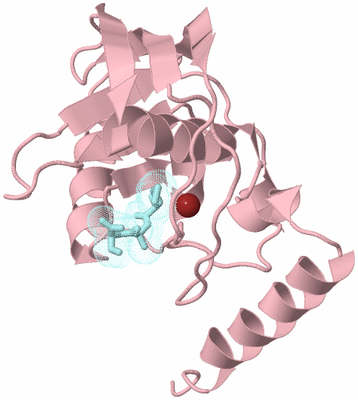 Image Biological Unit 3