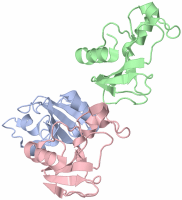 Image Asymmetric Unit