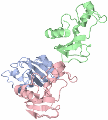 Image Asymmetric Unit