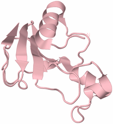 Image Biological Unit 3
