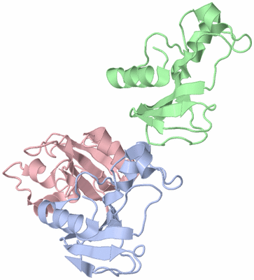 Image Asymmetric Unit