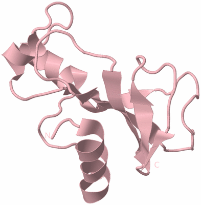 Image Biological Unit 3