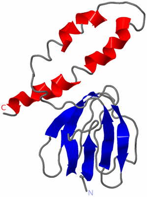 Image NMR Structure - model 1