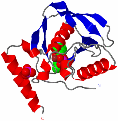 Image Asym./Biol. Unit