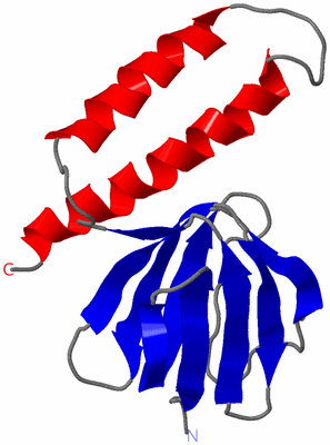 Image NMR Structure - model 1