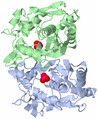 Image Asym./Biol. Unit