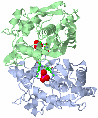 Image Asym./Biol. Unit - sites
