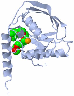 Image Biological Unit 1