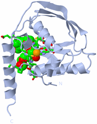 Image Biol. Unit 1 - sites