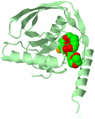 Image Biological Unit 2