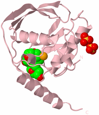 Image Biological Unit 3