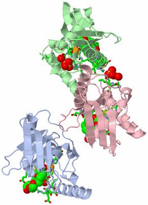 Image Asym. Unit - sites