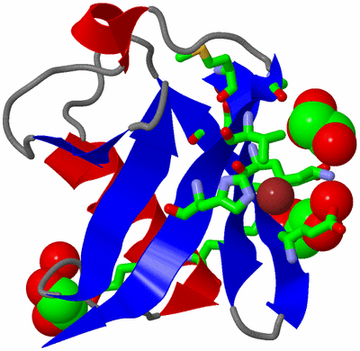 Image Asym./Biol. Unit - sites