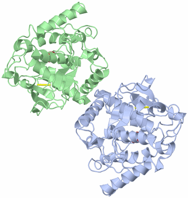 Image Asymmetric Unit