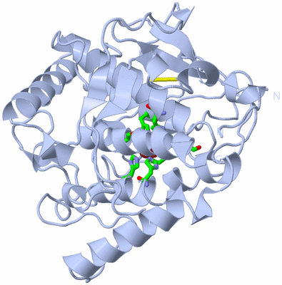 Image Biol. Unit 1 - sites