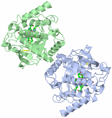 Image Asym. Unit - sites