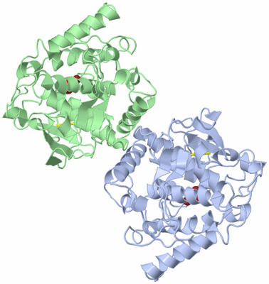 Image Asymmetric Unit