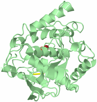 Image Biological Unit 2