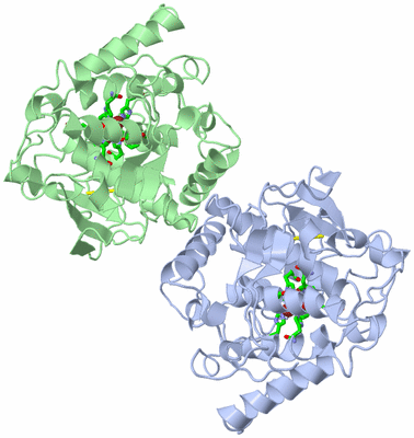 Image Asym. Unit - sites