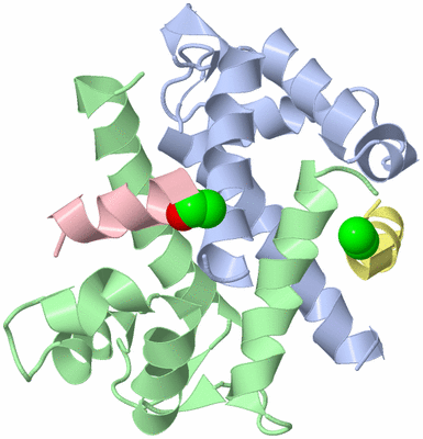 Image Biological Unit 1