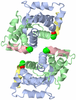 Image Biological Unit 2