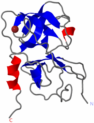 Image NMR Structure - model 1