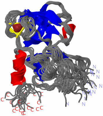 Image NMR Structure - all models