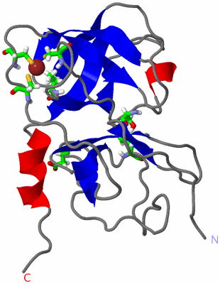 Image NMR Structure - model 1, sites