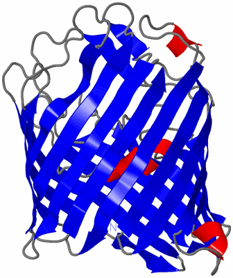 Image Asymmetric Unit