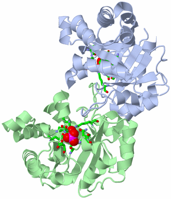 Image Asym./Biol. Unit - sites