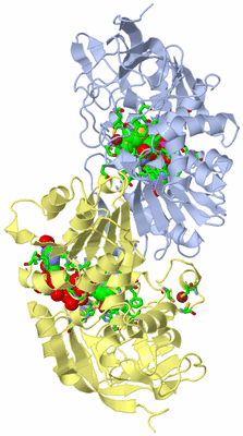 Image Biol. Unit 1 - sites