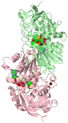 Image Biological Unit 2