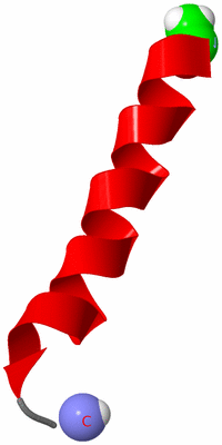 Image NMR Structure - model 1